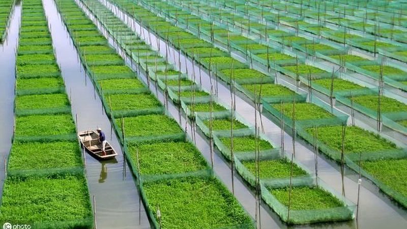 智慧农业种植系统：揭秘其规格型号与选型逻辑