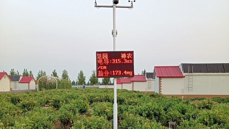 新疆水果种植气候条件加盟：揭秘成功秘诀