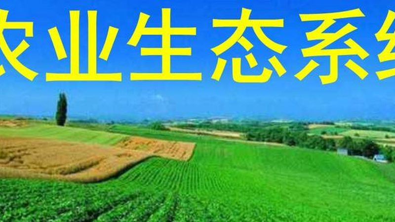 果蔬配送哪家好公司