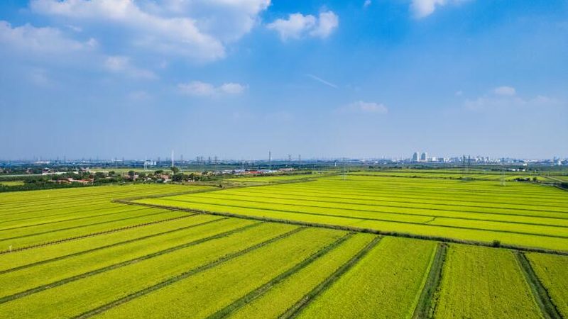 果蔬冷链运输一吨价格：揭秘影响成本的关键因素