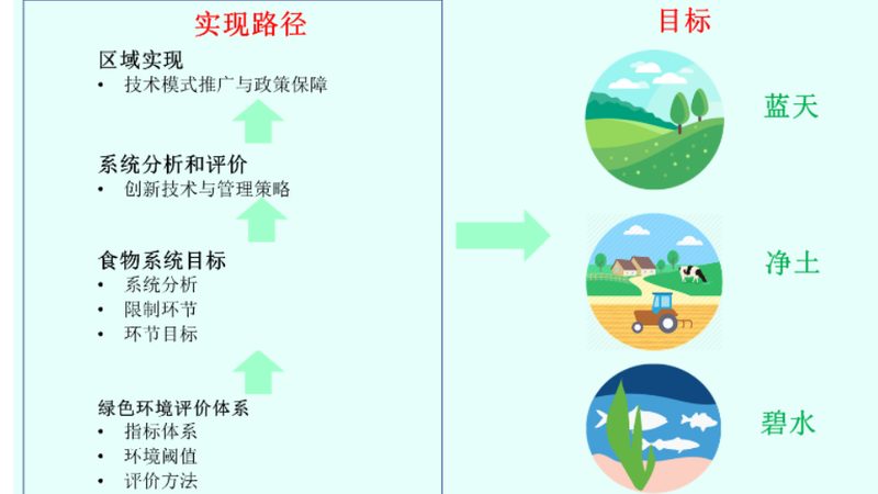 社区果蔬配送系统：构建高效本地化供应链的关键