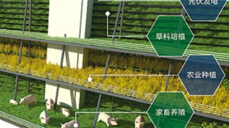 绿色食品批发市场货源：如何选择优质绿色食品