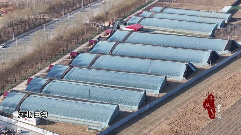 农资短视频获客技巧教程