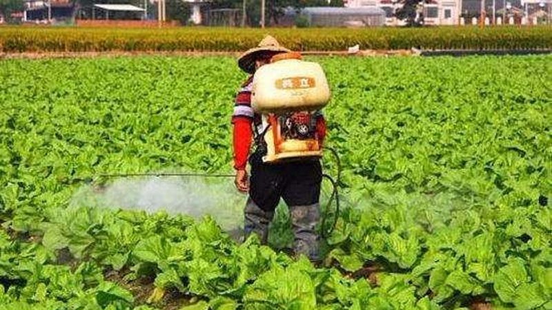 休闲农业经营许可证办理流程详解